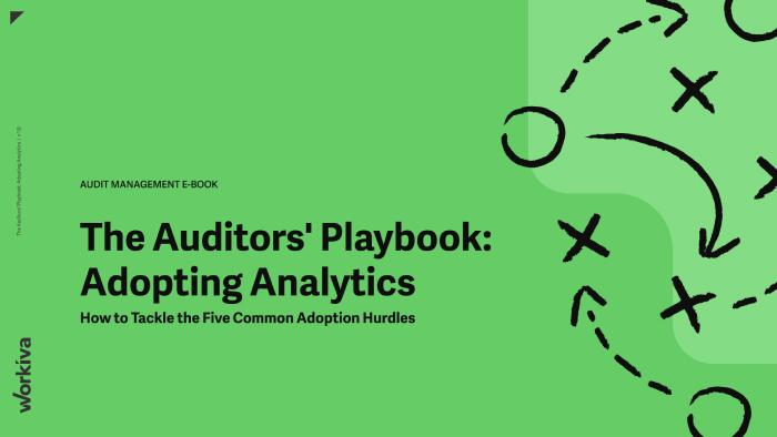 Auditors Playbook for Adopting Analytics