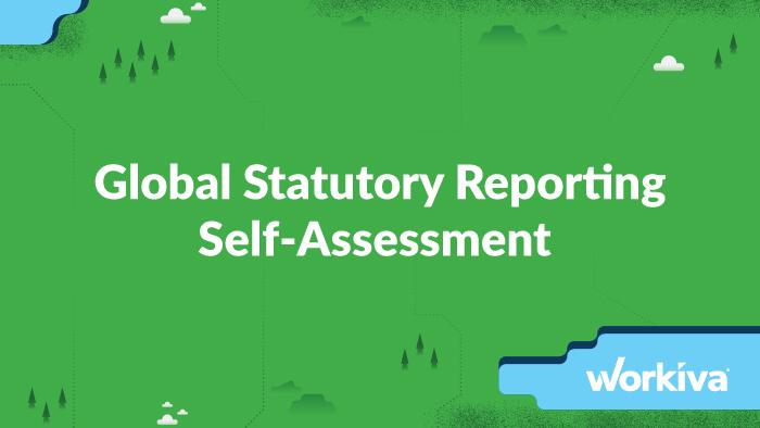 global statutory reporting self-assessment