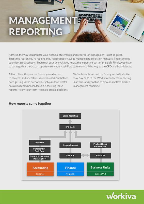 Management Reporting Brochure